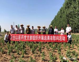 夏日送清凉,关怀暖人心