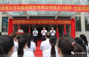 热烈祝贺鸿运在线在哪里下载鸿运国际app下载医药股份有限公司党支部揭牌仪式完成;鸿运国际app下载医药股份有限公司成立13周年迁址8周年庆典成功!